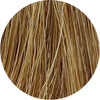 Color Touch CT 8/0-Light Blonde - WAHairSuppliers