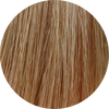 Color Touch CT 8/38-Light Blonde Gold Pearl - WAHairSuppliers