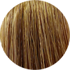 Color Touch CT 8/3-Light Blonde Gold - WAHairSuppliers