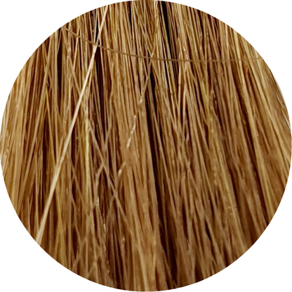 Color Touch CT 8/73-Light Blonde Brown Gold - WAHairSuppliers