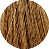 Color Touch CT 8/73-Light Blonde Brown Gold - WAHairSuppliers