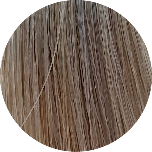 Color Touch CT 8/81-Light Blonde Pearl Ash - WAHairSuppliers