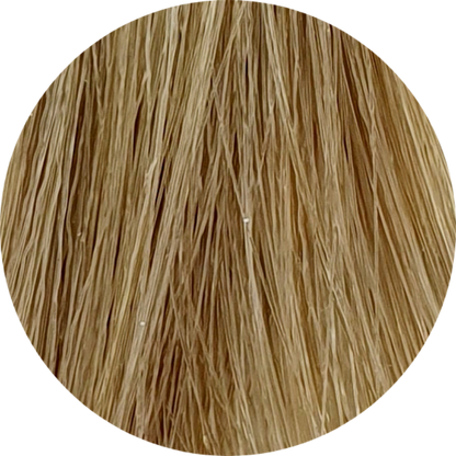 Color Touch CT 9/01-Very Light Blonde Natural Ash - WAHairSuppliers