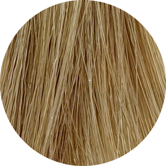 Color Touch CT 9/01-Very Light Blonde Natural Ash - WAHairSuppliers