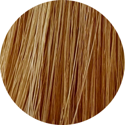 Color Touch CT 9/03-Very Light Blonde Nat. Gold - WAHairSuppliers