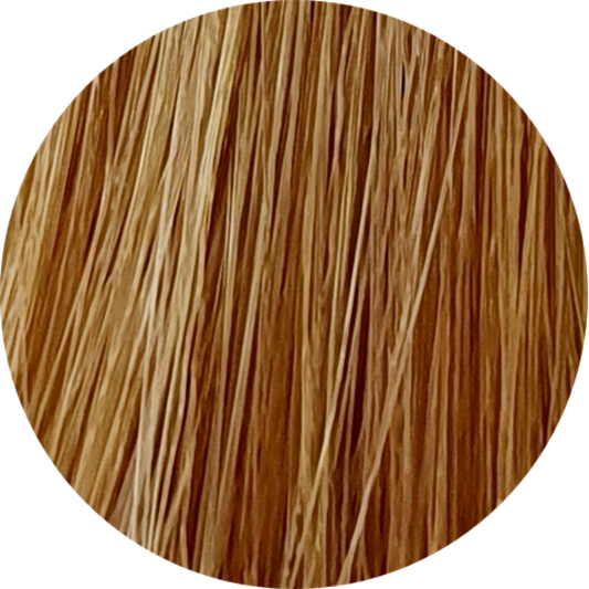 Color Touch CT 9/03-Very Light Blonde Nat. Gold - WAHairSuppliers