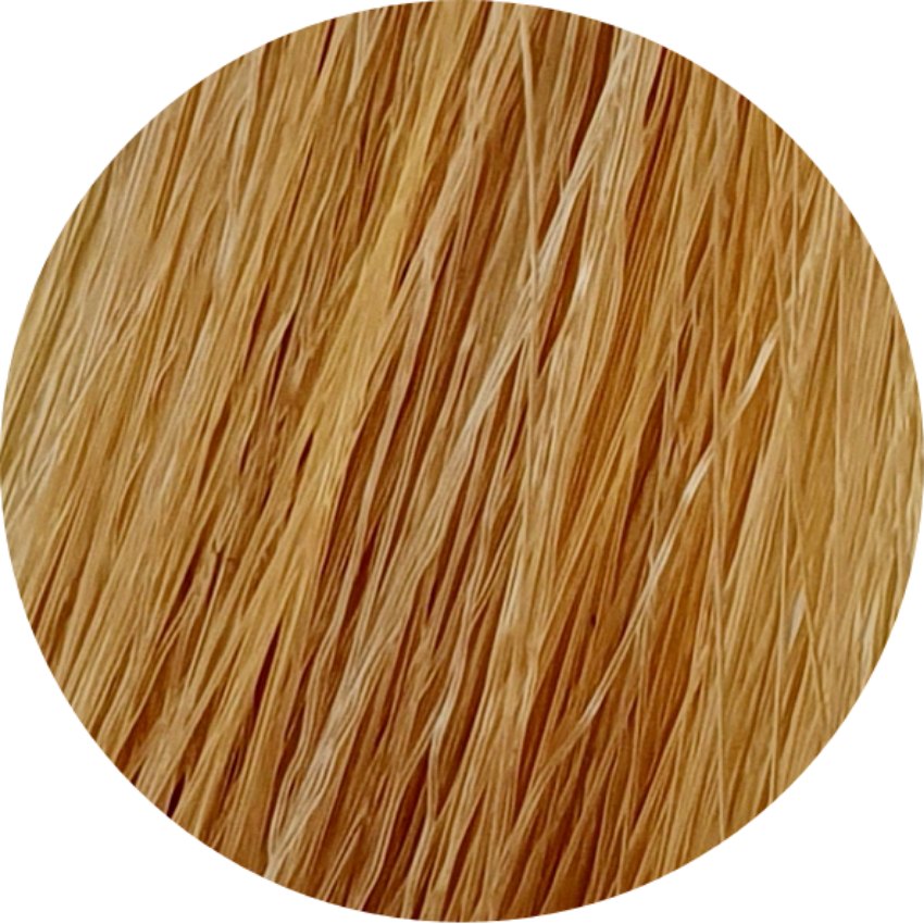 Color Touch CT 9/3-Very Light Blonde Gold - WAHairSuppliers