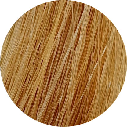 Color Touch CT 9/3-Very Light Blonde Gold - WAHairSuppliers