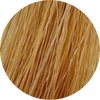 Color Touch CT 9/3-Very Light Blonde Gold - WAHairSuppliers