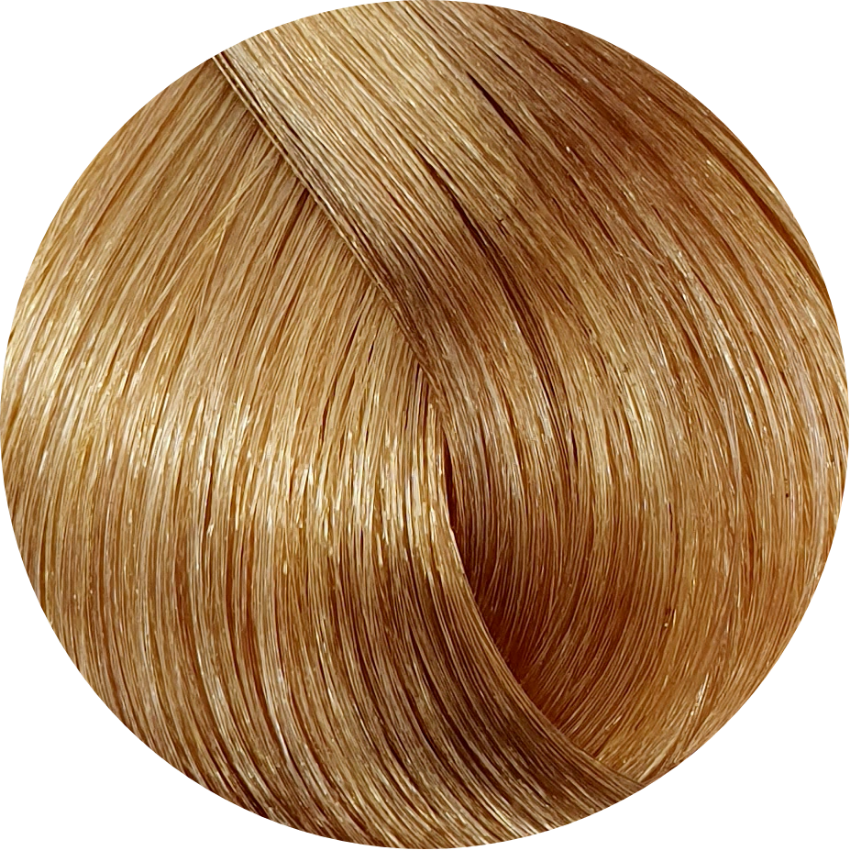 Emsibeth Cromakey Multibenefit- 9.3 Very Light Golden Blonde - WAHairSuppliers