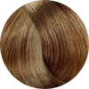 Emsibeth Cromakey Multibenefit- 9.00 Intense Very Light Blonde - WAHairSuppliers