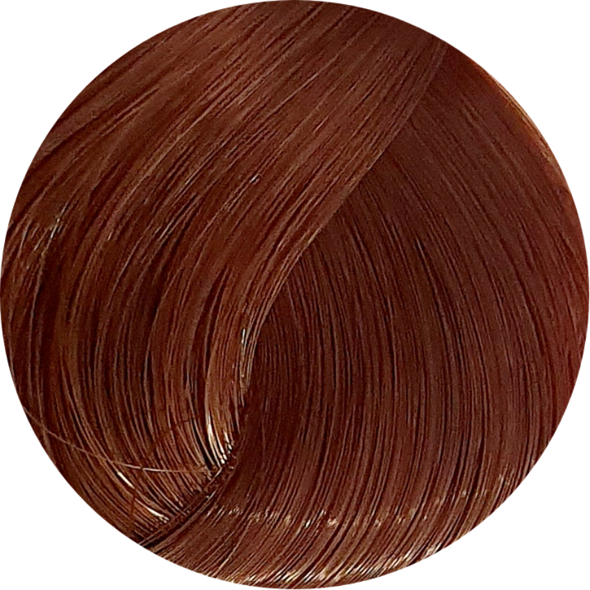 Schwarzkopf Igora Royal 6-68 Dark Blonde Chocolate Red 60ml - WAHairSuppliers