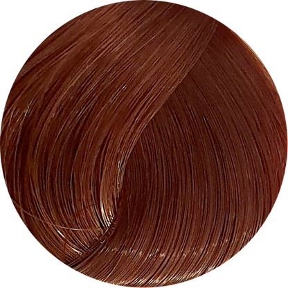 Schwarzkopf Igora Royal 6-68 Dark Blonde Chocolate Red 60ml - WAHairSuppliers