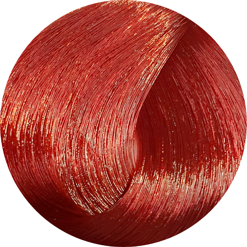 Schwarzkopf Igora Royal 6-88 Dark Blonde Red Extra 60ml - WAHairSuppliers
