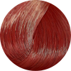 Schwarzkopf Igora Royal 5-88 Light Brown Red Extra 60ml - WAHairSuppliers