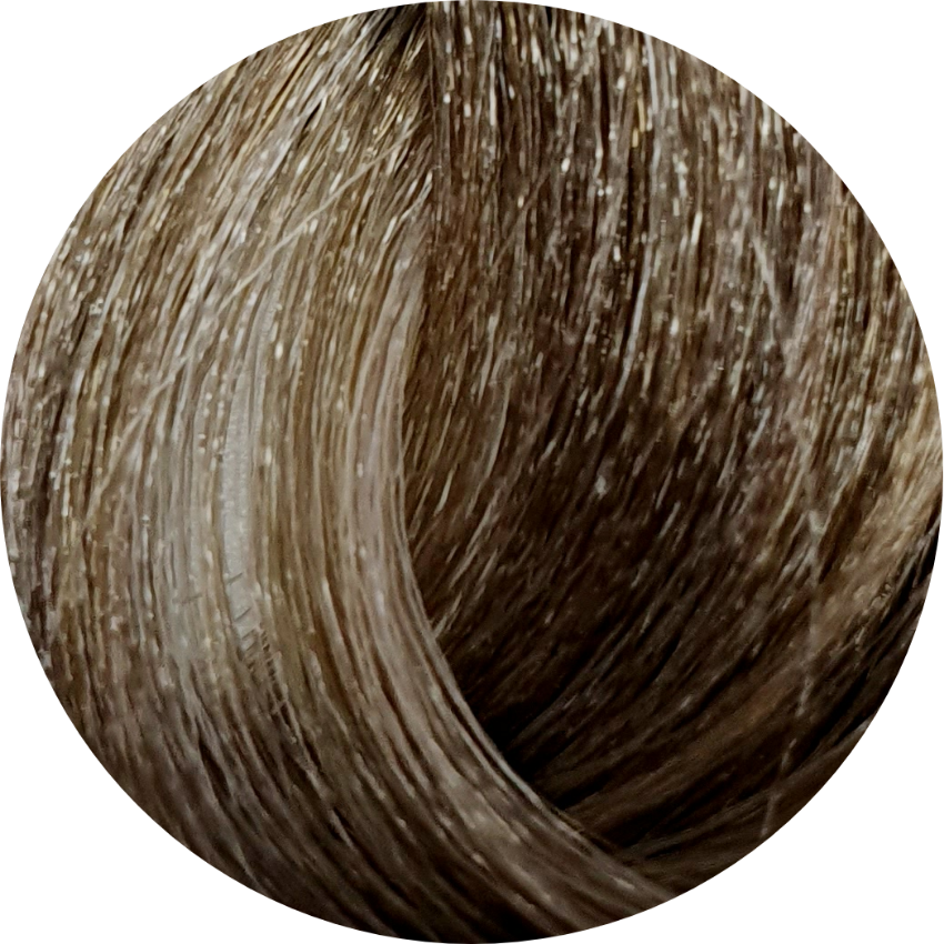 KC Permanent Colour 8.1 Light Ash Blonde, Ash Series - WAHairSuppliers