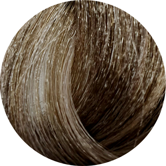 KC Permanent Colour 8.1 Light Ash Blonde, Ash Series - WAHairSuppliers