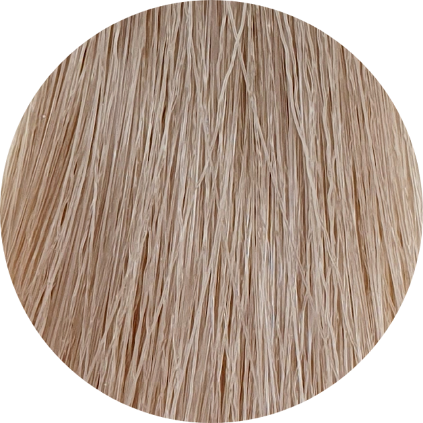 Color Touch CT 9/96 - Very Light Blonde Cendre Violet - WAHairSuppliers