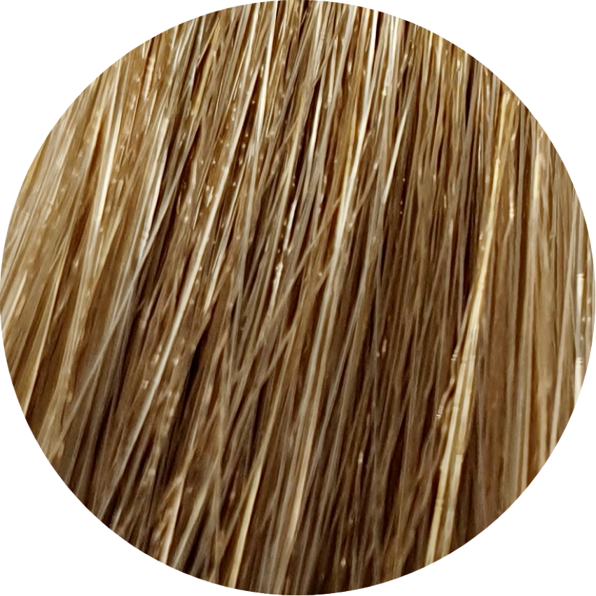 Koleston Perfect KP Deep Browns 8/71 Light Blonde Brown Ash - WAHairSuppliers