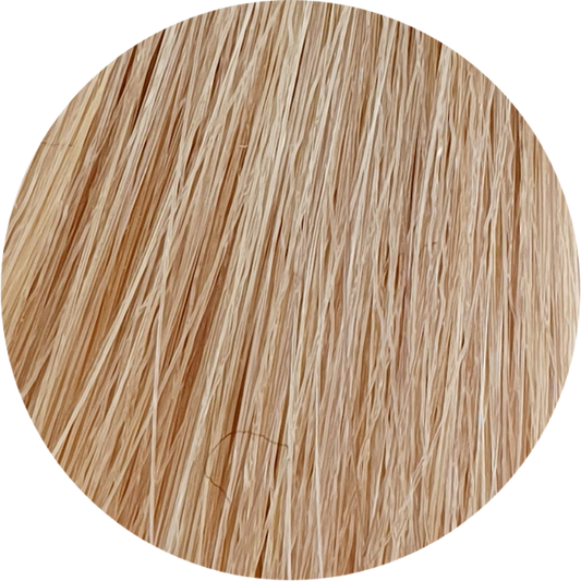 Koleston Perfect KP 8/96-Light Blonde Cendre Violet - WAHairSuppliers