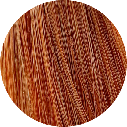 Koleston Perfect KP 88/43-Very Blonde Intensive Red Gold - WAHairSuppliers