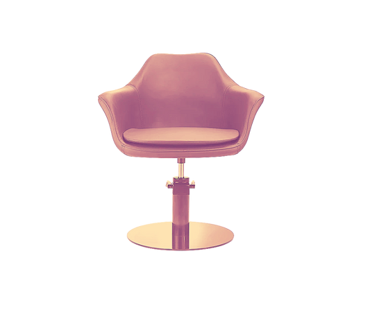 Hairdresser Chair Model: H-7296 Coffee