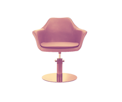 Hairdresser Chair Model: H-7296 Coffee