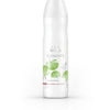 Wella Professionals - Elements Renewing Shampoo 250mL - WAHairSuppliers