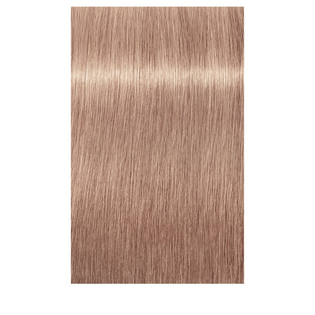 BlondMe Blonde Toning Biscuit 60ml - WAHairSuppliers