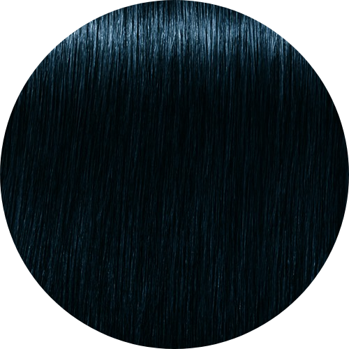 Schwarzkopf Igora Royal 1-1 Blue Black - WAHairSuppliers