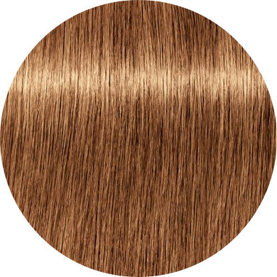 Schwarzkopf Igora Royal Disheveled Nudes 8-176 Light Blonde Cendre Copper Chocolate - WAHairSuppliers