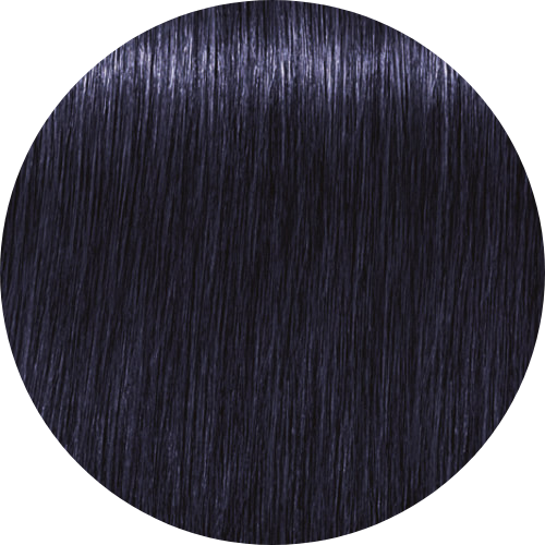 Schwarzkopf Igora Royal Fashion Lights L-22Ash Extra 60ml - WAHairSuppliers