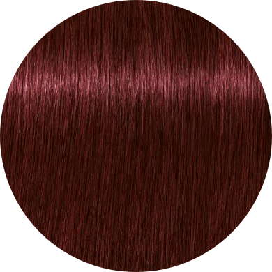 Schwarzkopf Igora Royal 4-88 Medium Brown Red Extra - WAHairSuppliers