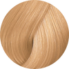 Color Fresh 10/36-Lightest Gold Violet Blonde - WAHairSuppliers