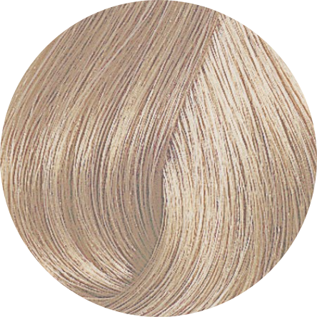 Color Fresh 10/81-Silver Line - WAHairSuppliers