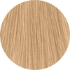 Koleston Perfect KP 10/31-Very Lightest Blonde Gold Ash