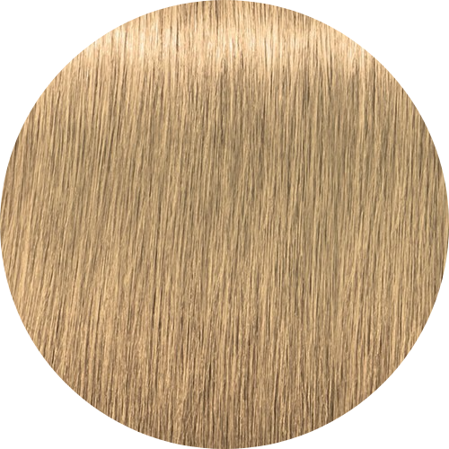 Schwarzkopf Igora Royal 9,5-4 Beige - WAHairSuppliers