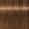 Schwarzkopf Igora Royal Absolutes 7-140 Medium Blonde Cendre Beige 60ml