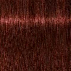 Schwarzkopf Igora Royal Absolutes 5-80 Light brown Red Natural