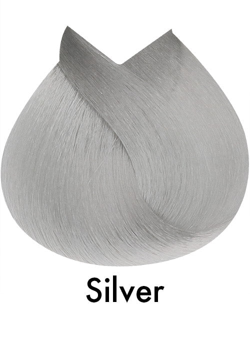 Color US Permanent Hair Colour Silver 120ml - WAHairSuppliers